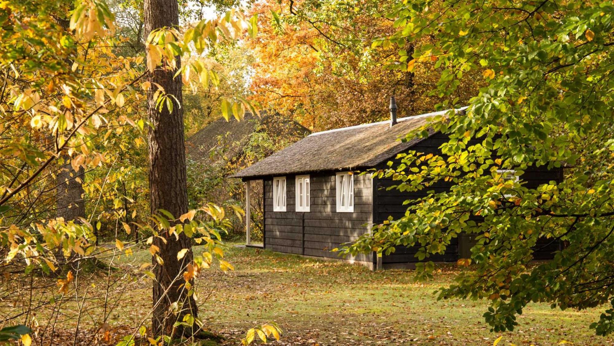 Molecaten Park De Leemkule Хаттем Номер фото