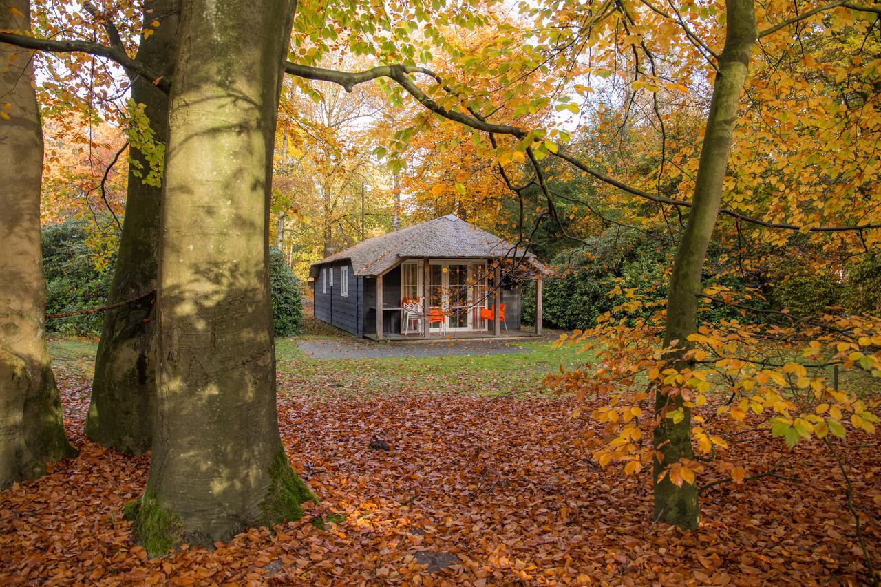 Molecaten Park De Leemkule Хаттем Экстерьер фото